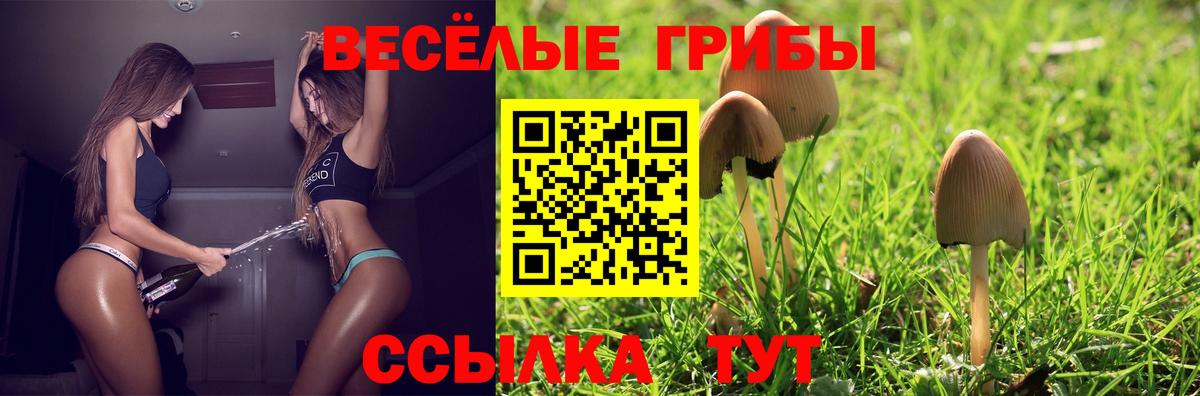 Галлюциногенные грибы MAGIC MUSHROOMS Краснотурьинск
